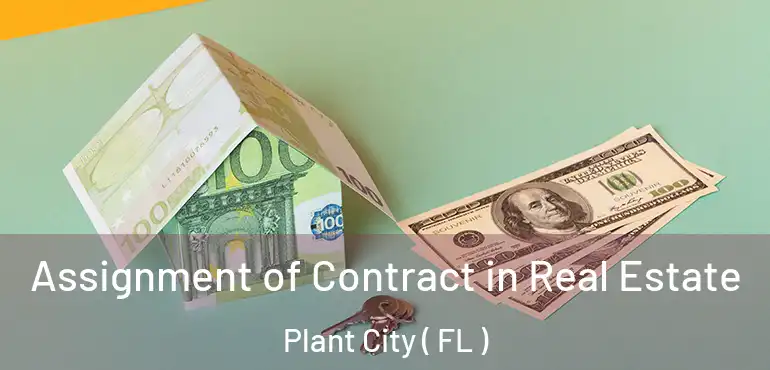  Assignment of Contract in Real Estate Plant City ( FL )