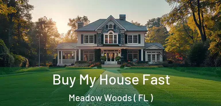  Buy My House Fast Meadow Woods ( FL )