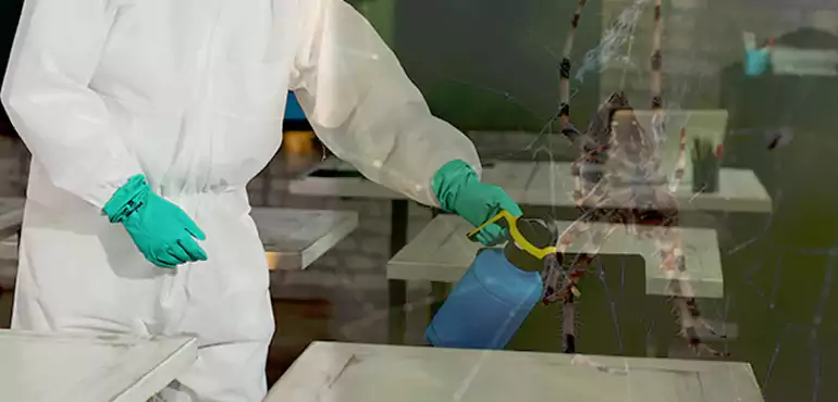 Why Buyers Still Want Homes With Pest Infestations in Panama City, FL?
