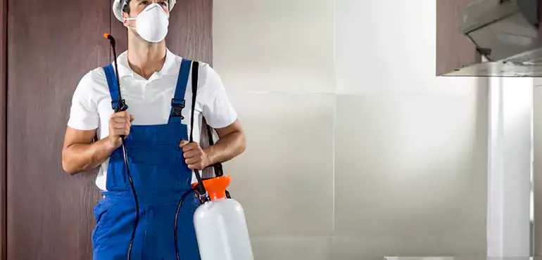 Why Panama City Homeowners Choose Us When Pests Make Selling Difficult