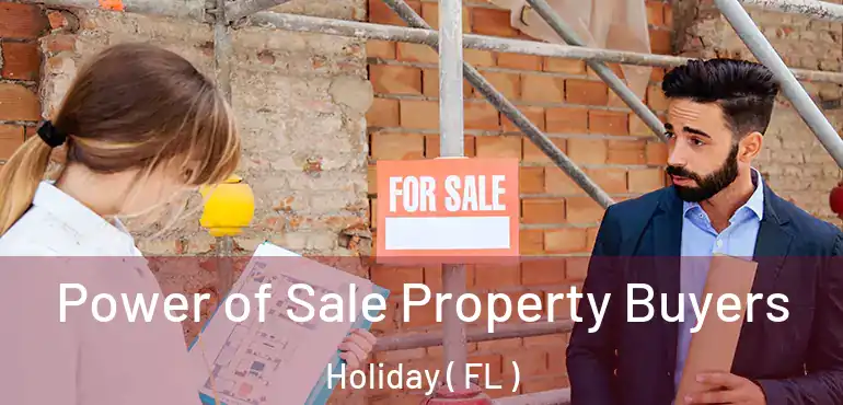  Power of Sale Property Buyers Holiday ( FL )