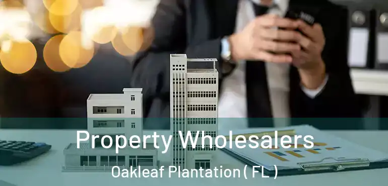  Property Wholesalers Oakleaf Plantation ( FL )