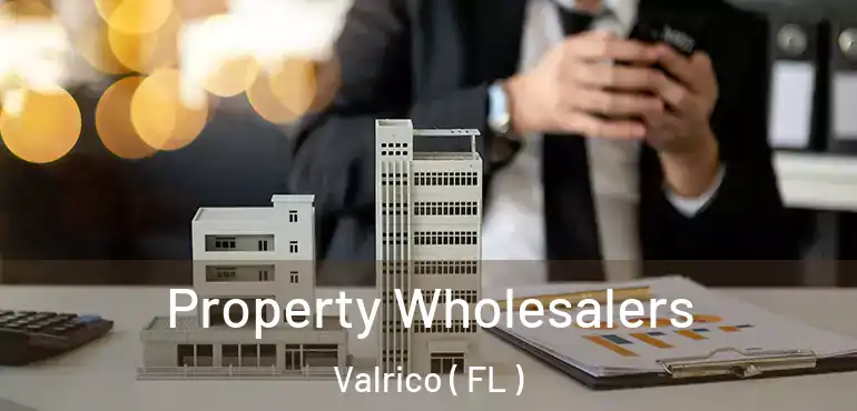  Property Wholesalers Valrico ( FL )
