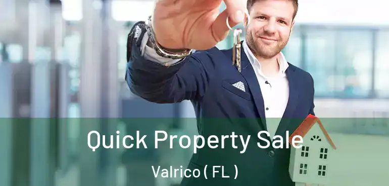  Quick Property Sale Valrico ( FL )