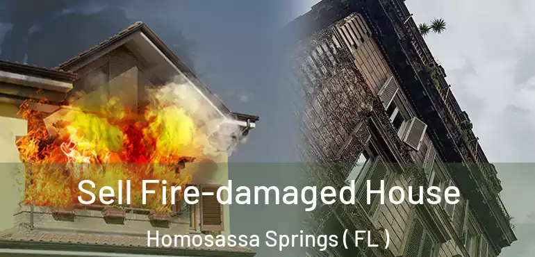  Sell Fire-damaged House Homosassa Springs ( FL )