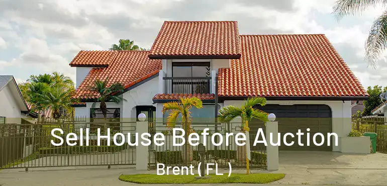  Sell House Before Auction Brent ( FL )