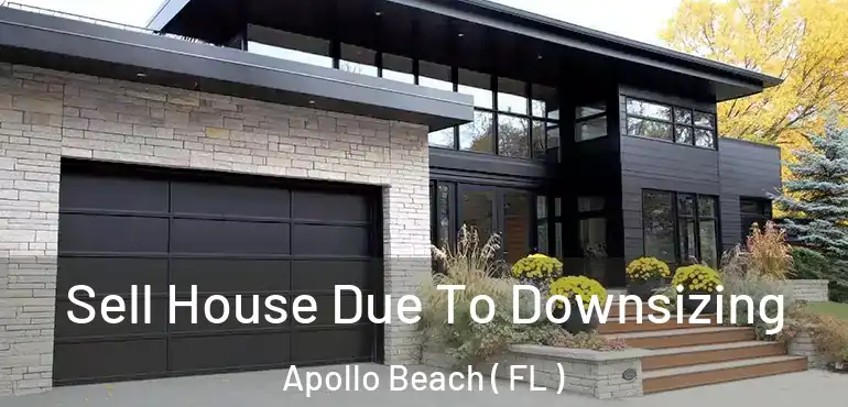  Sell House Due To Downsizing Apollo Beach ( FL )