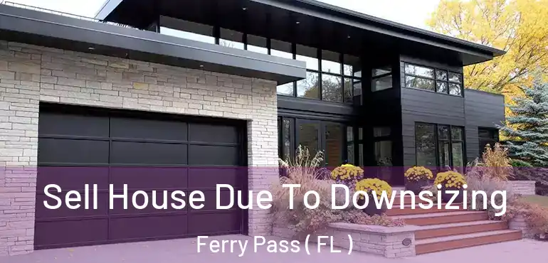  Sell House Due To Downsizing Ferry Pass ( FL )