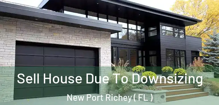  Sell House Due To Downsizing New Port Richey ( FL )