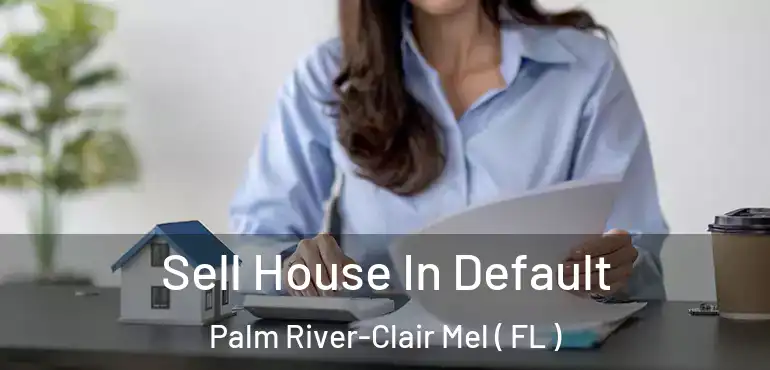  Sell House In Default Palm River-Clair Mel ( FL )