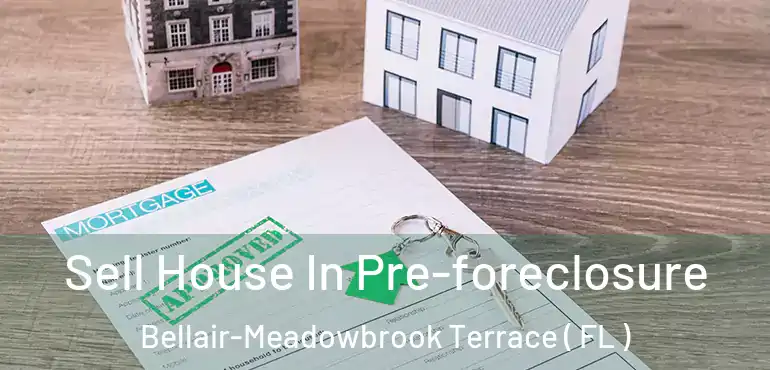  Sell House In Pre-foreclosure Bellair-Meadowbrook Terrace ( FL )