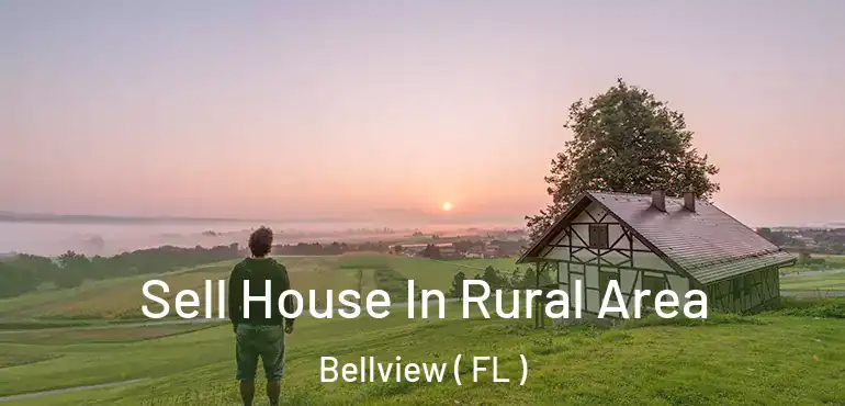  Sell House In Rural Area Bellview ( FL )