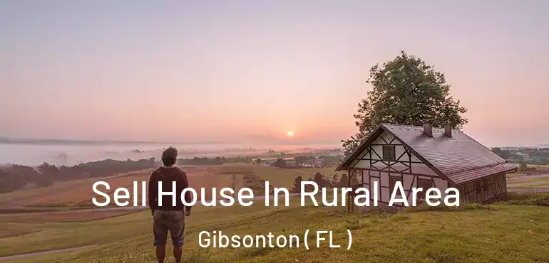  Sell House In Rural Area Gibsonton ( FL )