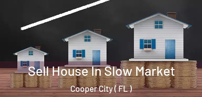  Sell House In Slow Market Cooper City ( FL )