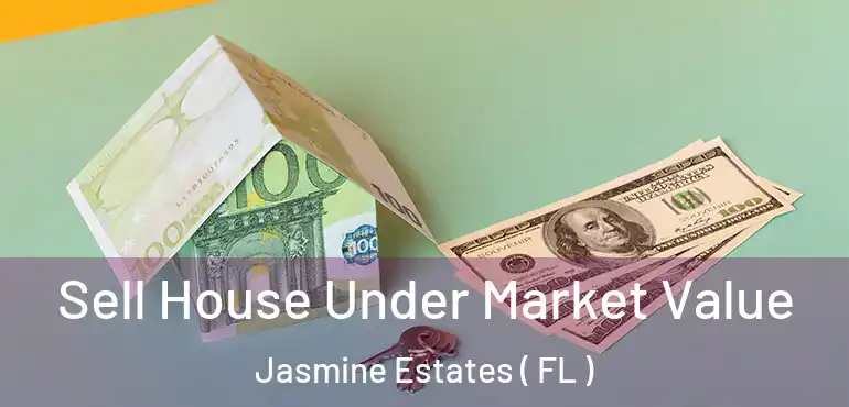  Sell House Under Market Value Jasmine Estates ( FL )