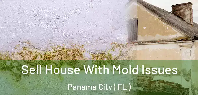  Sell House With Mold Issues Panama City ( FL )