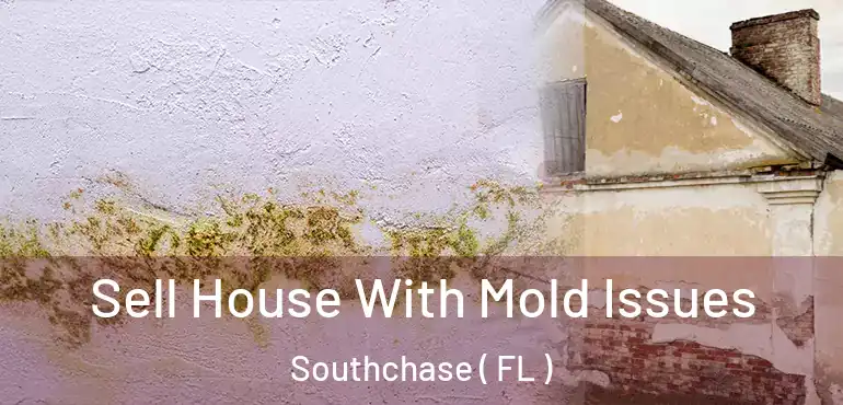  Sell House With Mold Issues Southchase ( FL )