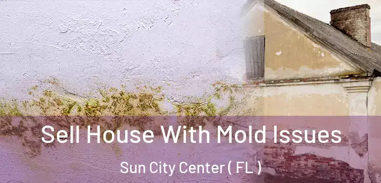  Sell House With Mold Issues Sun City Center ( FL )