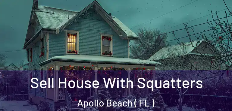 Sell House With Squatters Apollo Beach ( FL )
