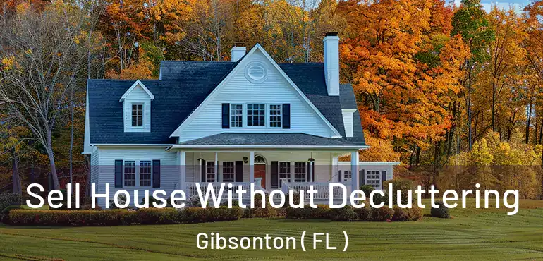  Sell House Without Decluttering Gibsonton ( FL )
