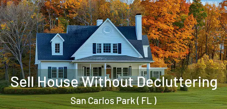 Sell House Without Decluttering San Carlos Park ( FL )