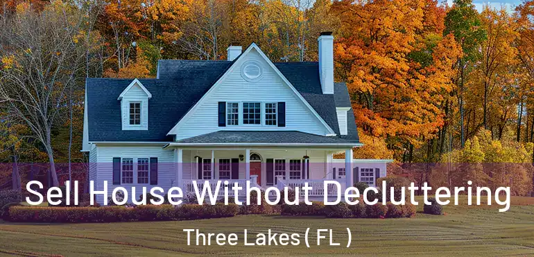  Sell House Without Decluttering Three Lakes ( FL )