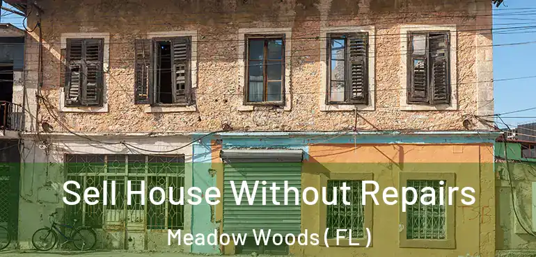  Sell House Without Repairs Meadow Woods ( FL )
