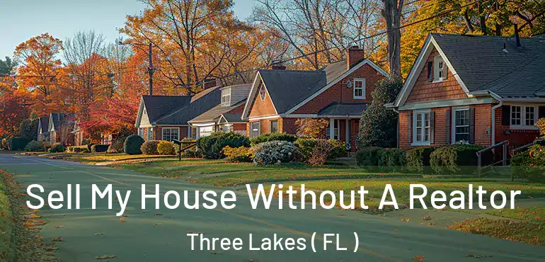  Sell My House Without A Realtor Three Lakes ( FL )