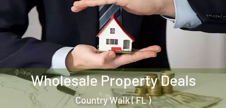  Wholesale Property Deals Country Walk ( FL )